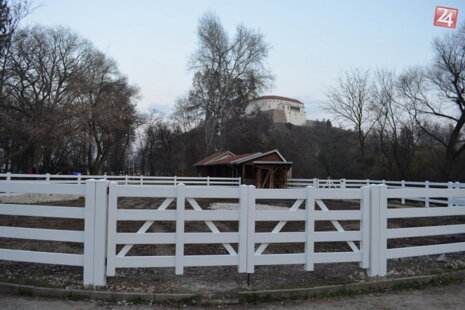 Durable equine vinyl fence in white and black, featuring 2, 3, and 4 rail designs with posts and caps included, ideal for horse enclosures.